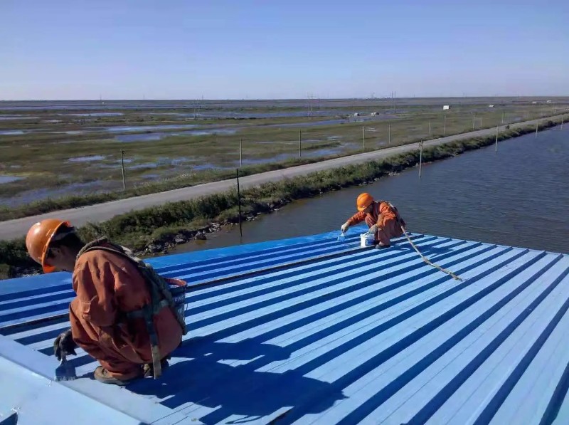 木鱼镇钢结构屋面漏水原因